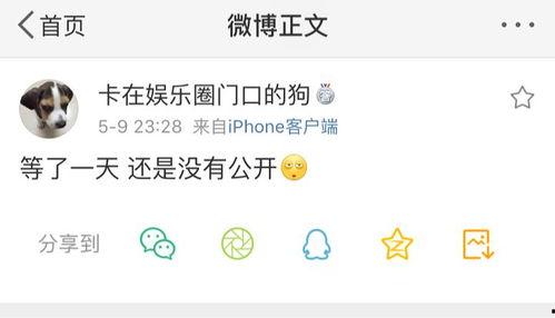 吃瓜爆料.吃瓜不打烊八卦爆料在线吃瓜,吃瓜不打烊，揭秘娱乐圈幕后风云