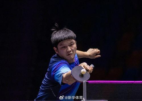 吃瓜爆料 体育圈饭圈化,饭圈化现象下的吃瓜爆料热潮